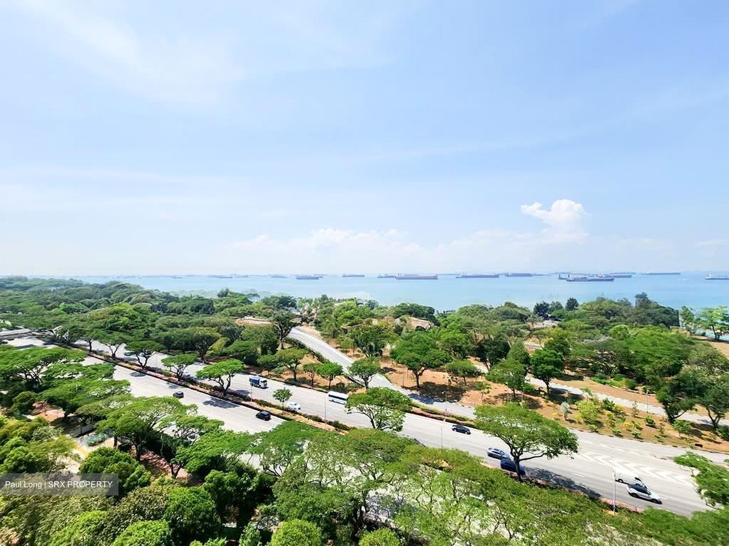 Peach Garden (D15), Apartment #561478531